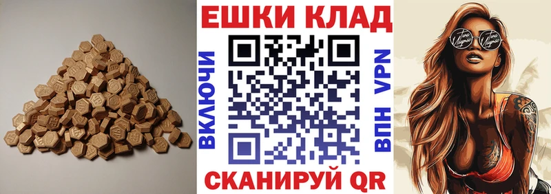 Купить закладки  Завитинск  Ecstasy таблы 