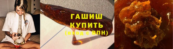 амф Каменка
