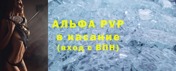 амф Каменка