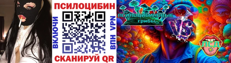 Купить где  Завитинск  Псилоцибиновые грибы Psilocybe 
